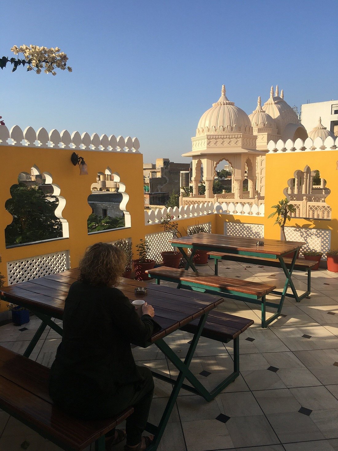 THE CORAL COURT HOMESTAY - Updated 2024 Prices & Hotel Reviews (Agra, India)