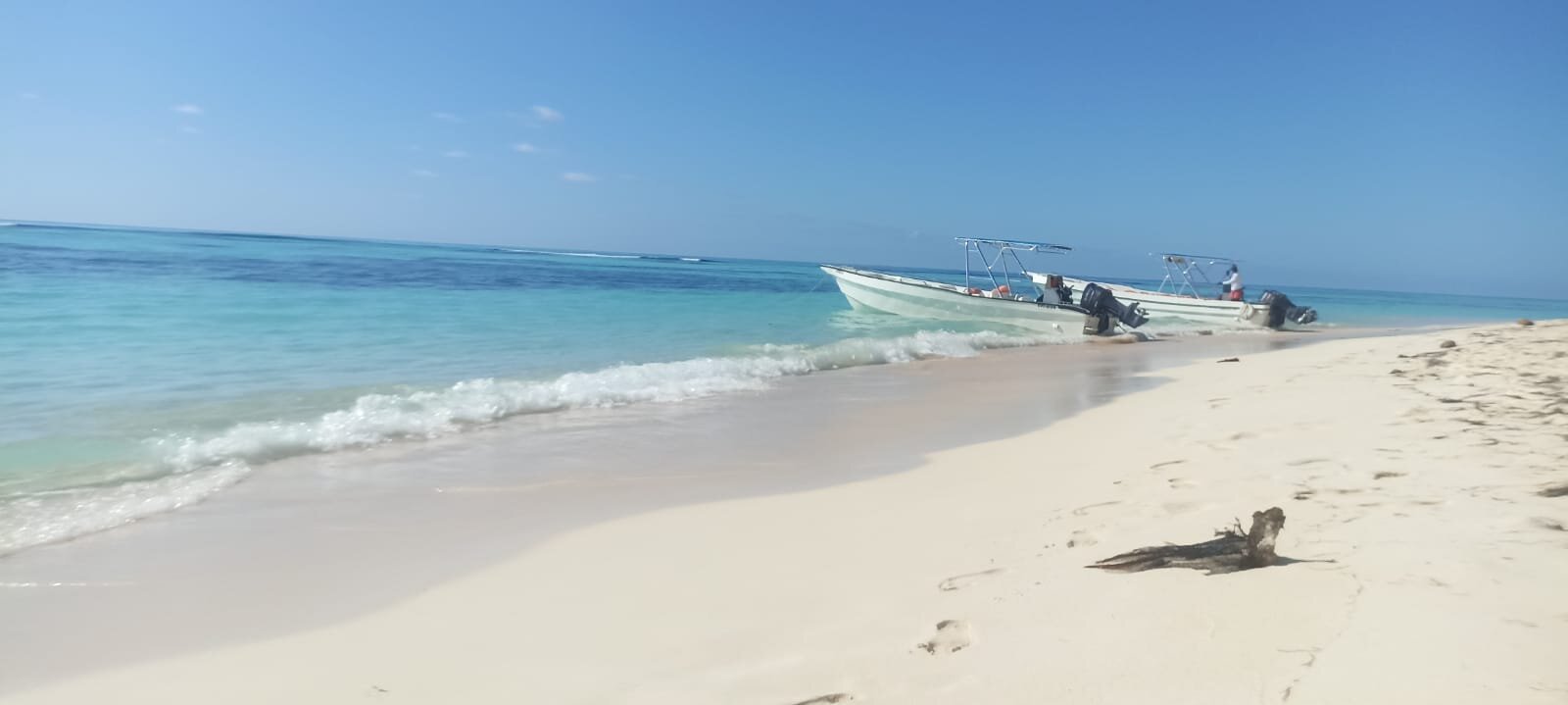 CAPITAN GRINGO - SAONA TOURS (La Romana) - 2023 What to Know BEFORE You Go