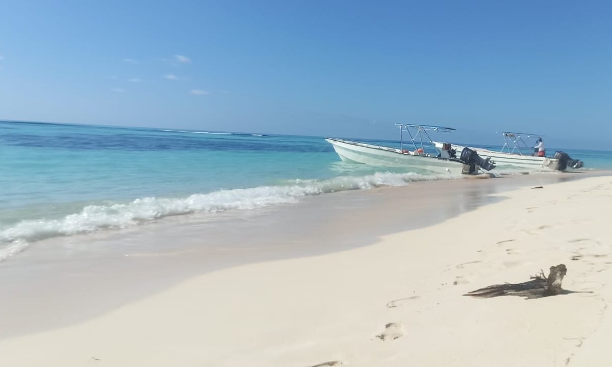 Capitan Gringo - Saona Tours (la Romana) - All You Need To Know Before 