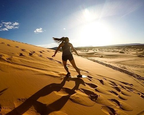 desert safari tour doha
