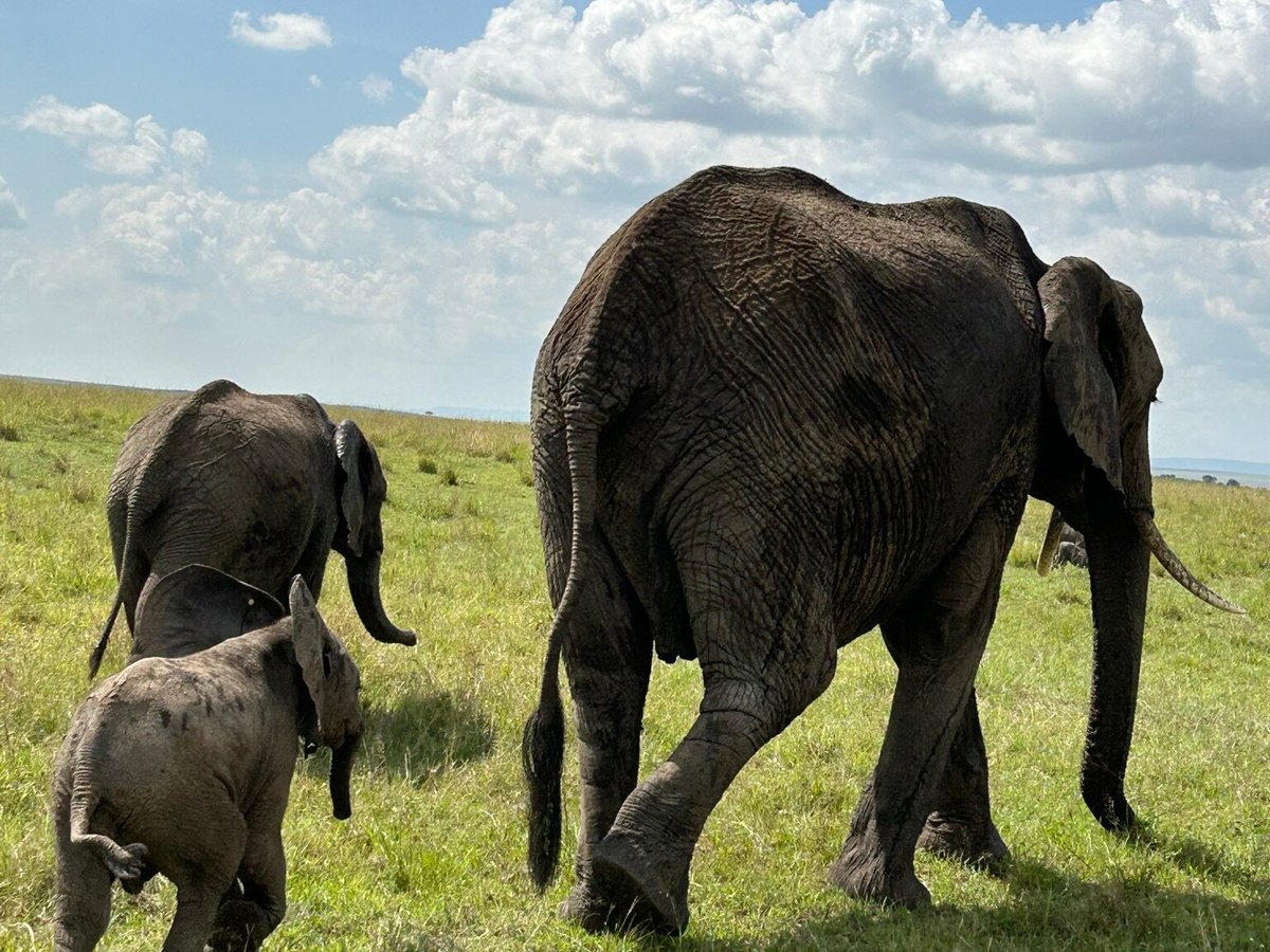 Earthwings Tours and Safaris (Nairobi) - All You Need to Know BEFORE You Go