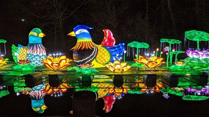 The best winter festivals in Nashville, Tennessee - Tripadvisor