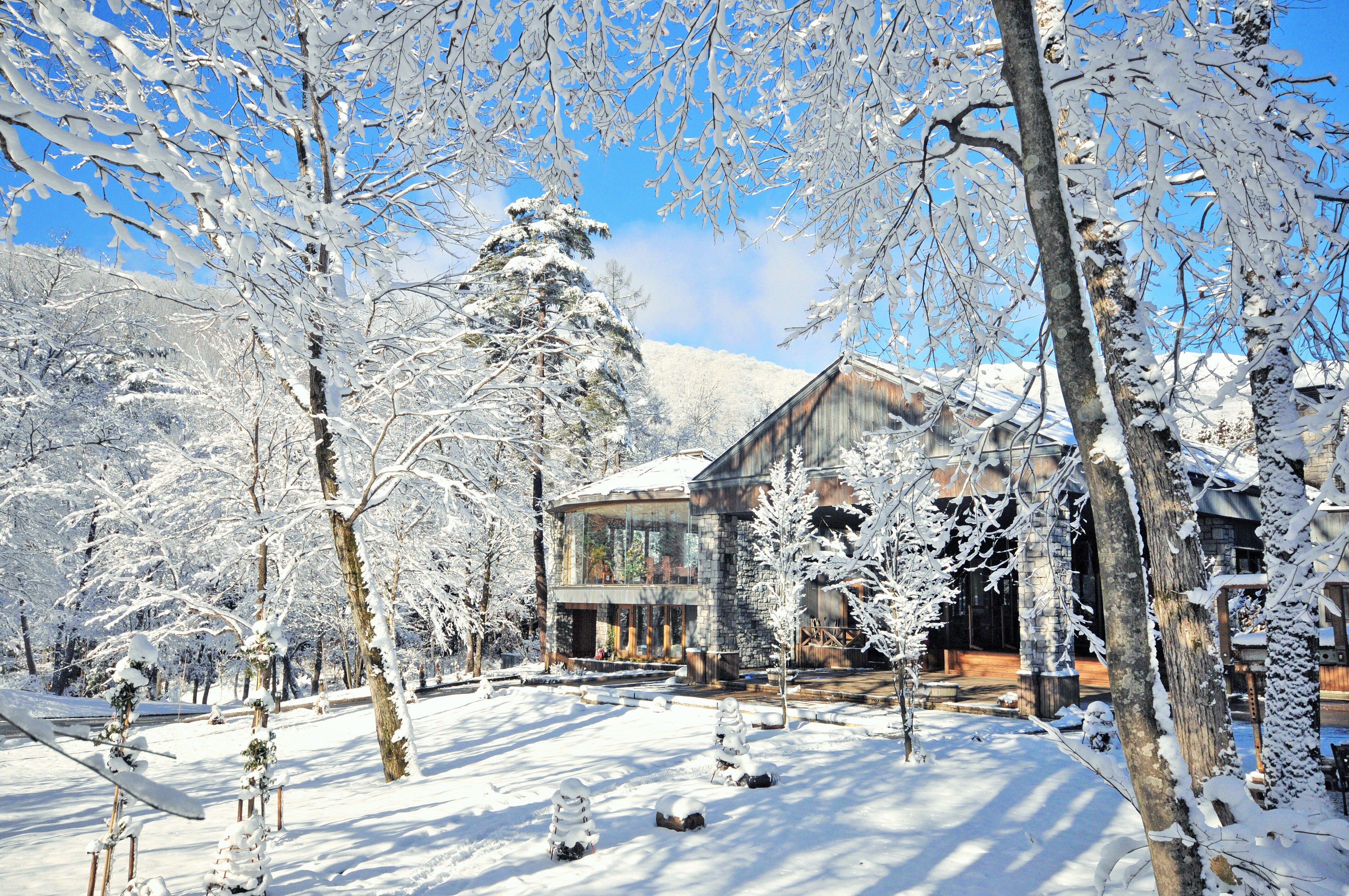 HOTEL SIERRA RESORT HAKUBA $180 ($̶4̶9̶4̶) - Updated 2023 Prices