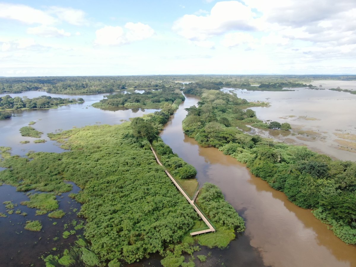 Caño Negro Wildlife Refuge - All You Need to Know BEFORE You Go (2024)