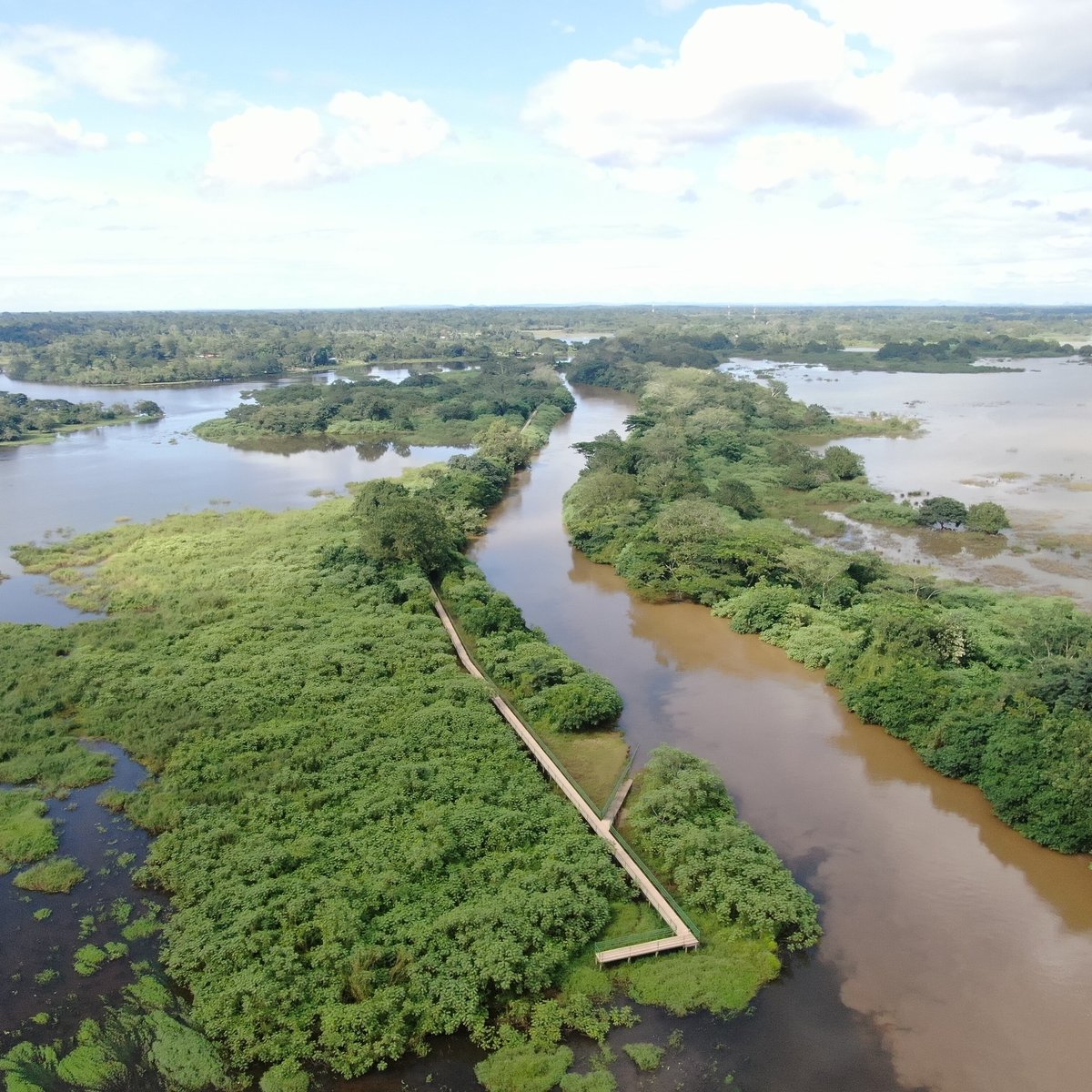 Caño Negro Wildlife Refuge, Cano Negro: лучшие советы перед посещением ...