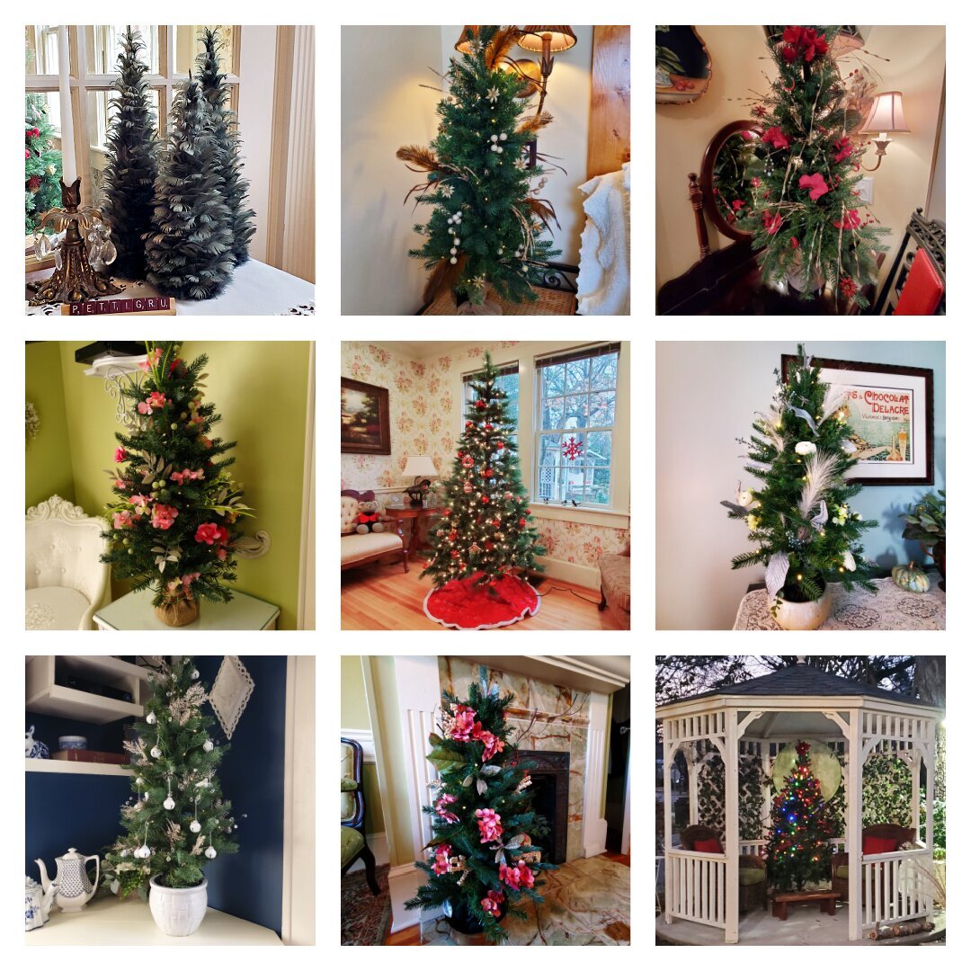 pettigru-place-bed-and-breakfast-prices-b-b-reviews-greenville-sc