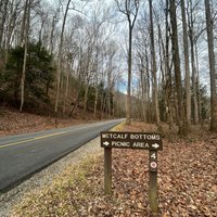 Metcalf Bottoms Picnic Area (Great Smoky Mountains National Park) - All ...