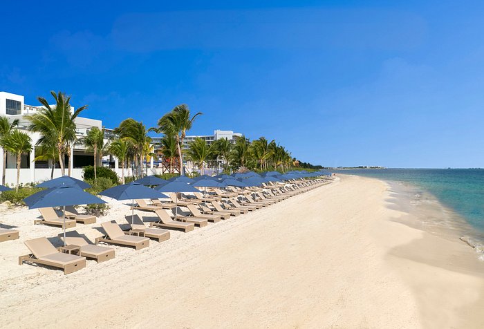 tripadvisor royalton splash riviera cancun