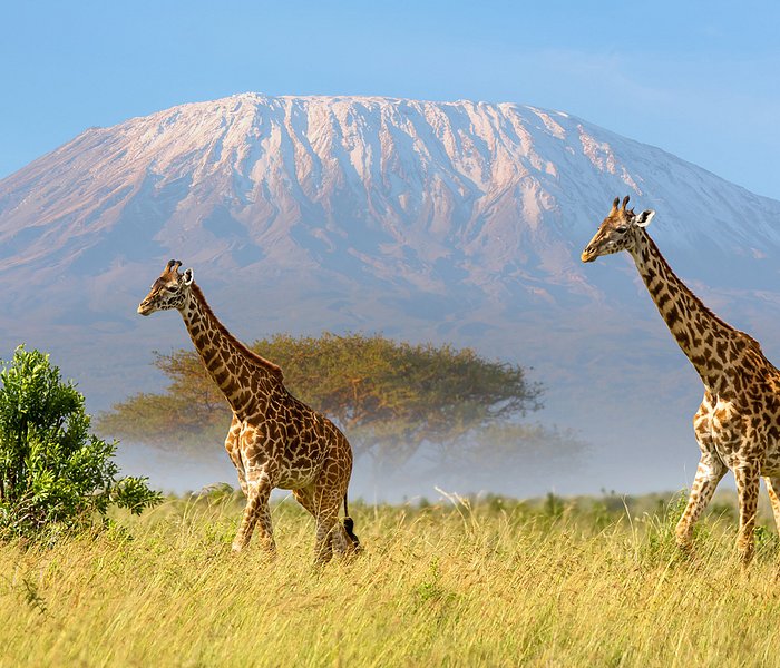 tours of nairobi