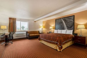 Room & Suite