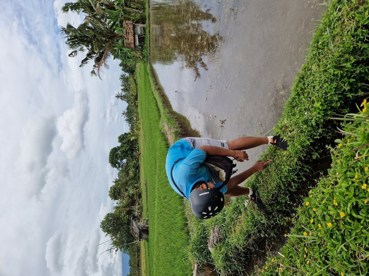 JEGEG BALI CYCLING TOURS (Ubud) - All You Need to Know BEFORE You Go