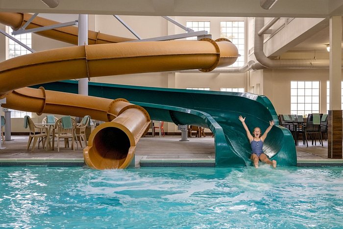 Water slide exits into this pool - Picture of Flamingo Las Vegas Hotel &  Casino - Tripadvisor