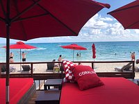 Coralina Daylight Club (Playa del Carmen) - All You Need to Know BEFORE You  Go