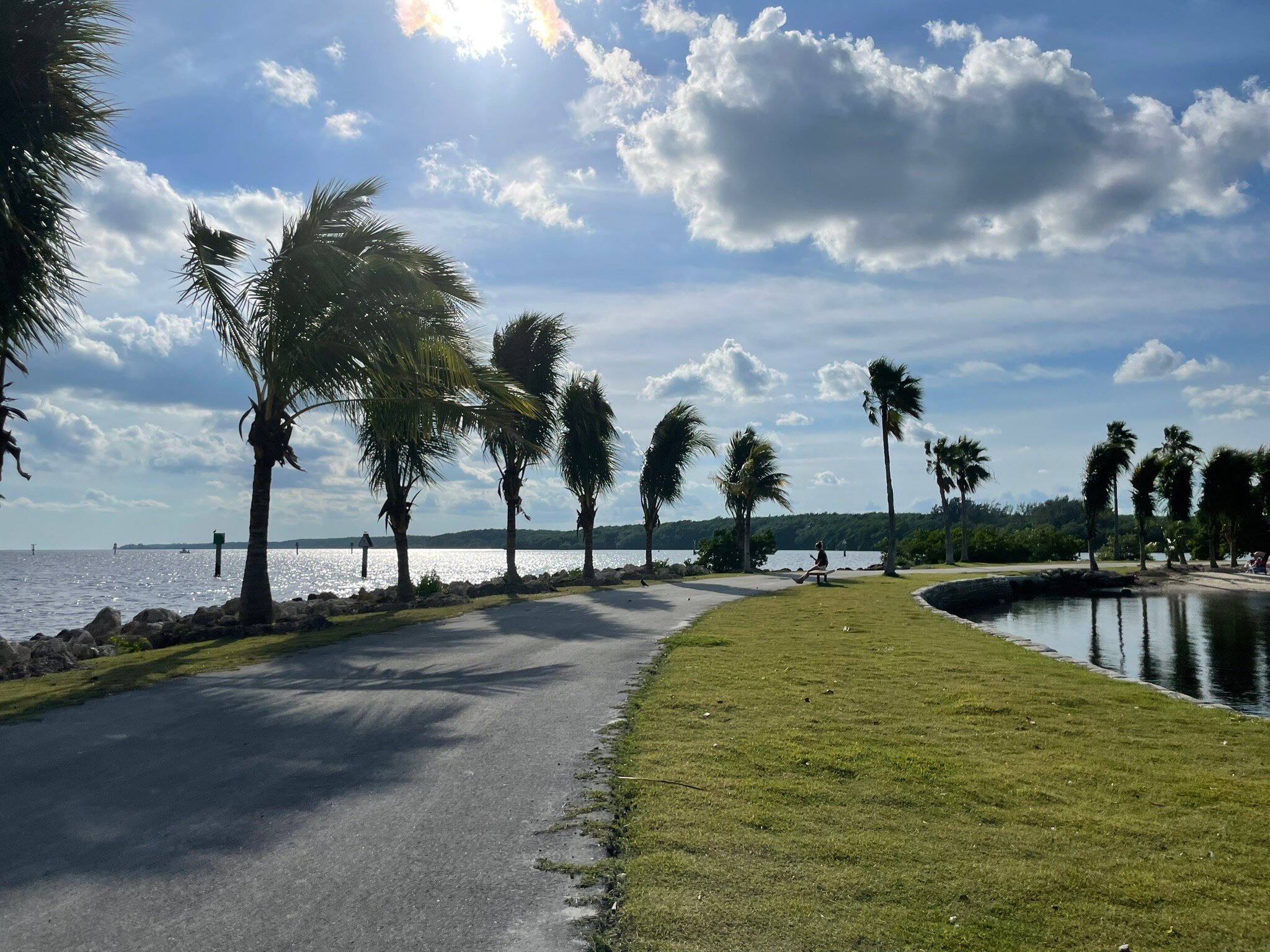 Matheson Hammock Park All You Need to Know BEFORE You Go 2024