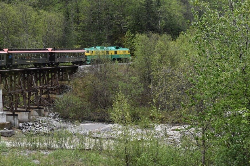 Shore Excursion Skagway City Tour and White Pass Summit Adventure