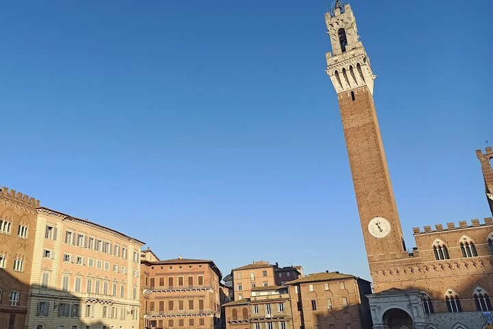 THE 15 BEST Things to Do in Arezzo 2024 with Photos Tripadvisor