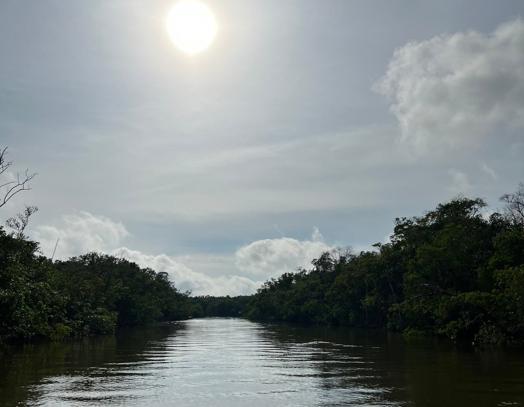 Captain Jack's Airboat Tours (Everglades City) - All You Need to Know ...