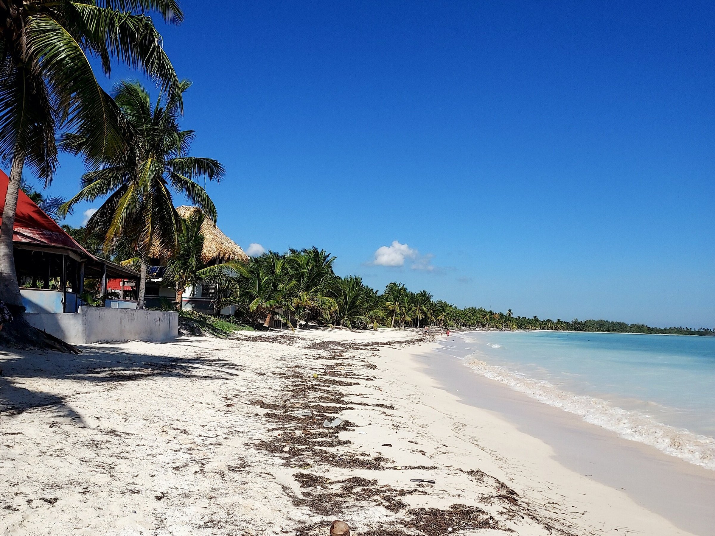 paseo tours playa del carmen