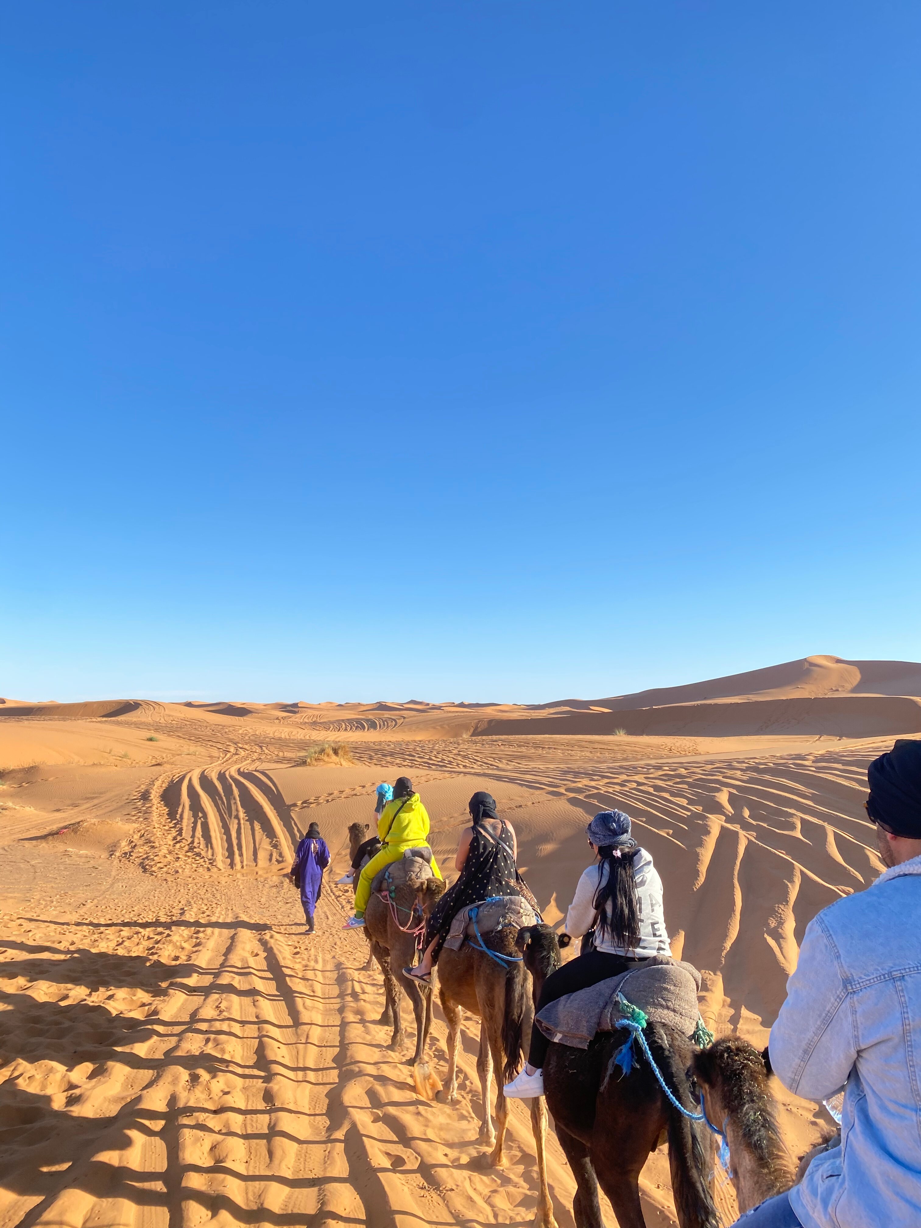 Marrakech Tours Desert - All You Need To Know BEFORE You Go