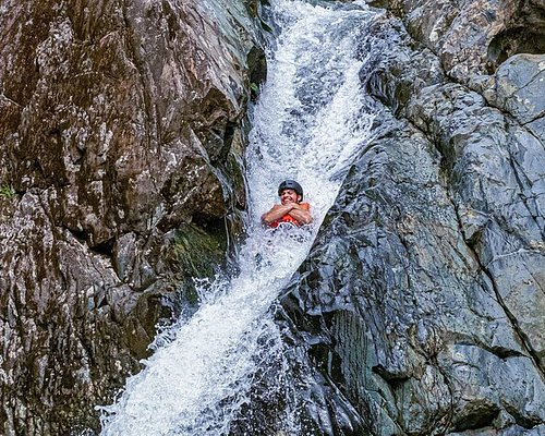 el yunque tours tripadvisor