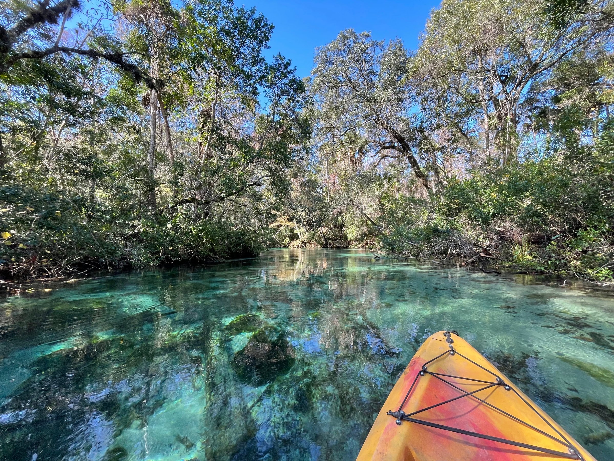 WEEKI WACHEE SPRINGS - All You Need to Know BEFORE You Go