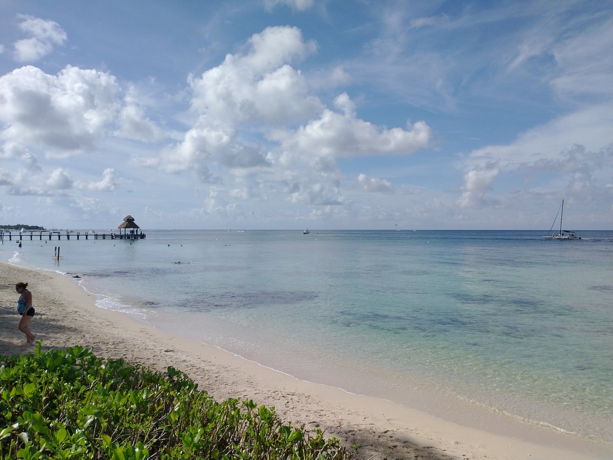 DREAMS COZUMEL CAPE RESORT & SPA - Updated 2024 Prices & Reviews (Mexico)