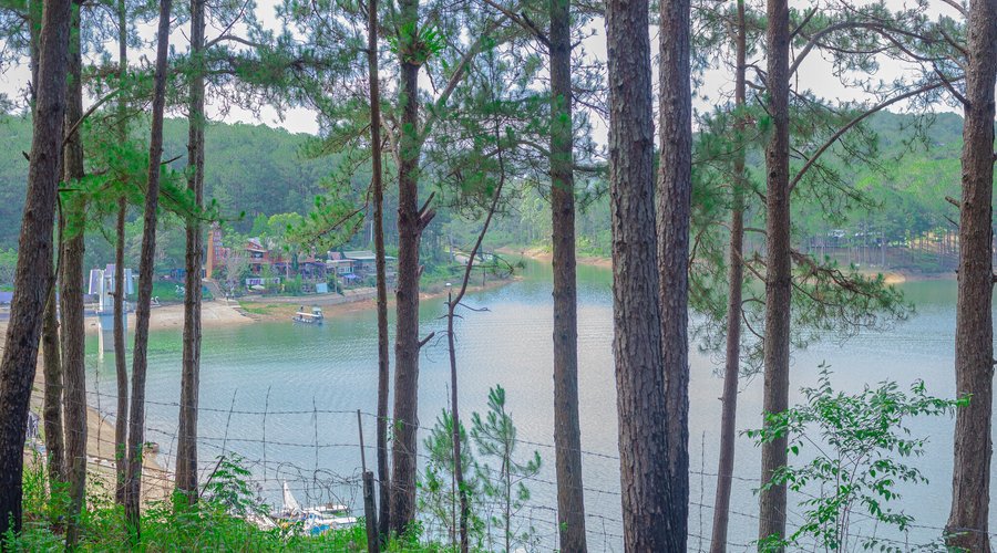 Paradise lake