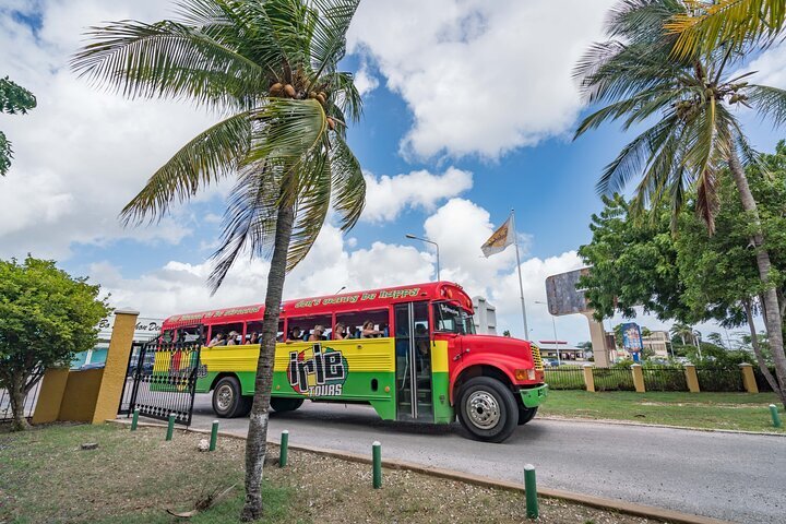 Tripadvisor  Nadar com tartarugas marinhas e praia de Grote Knip