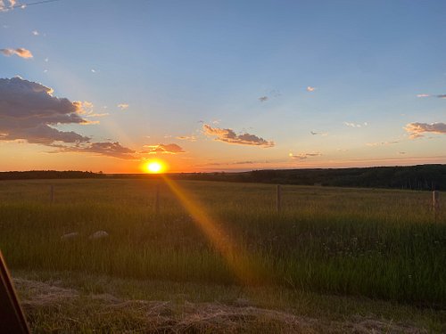 Crooked Creek Campground Bewertungen And Fotos Waterton Lakes Nationalpark Kanada Tripadvisor 