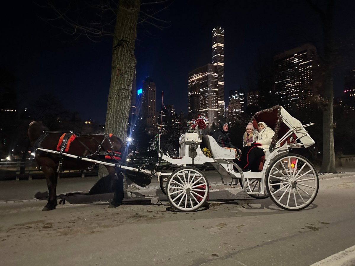 Nyc Horse Carriage Services - All You Need To Know Before You Go (2024)