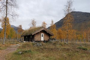 Rom og suite