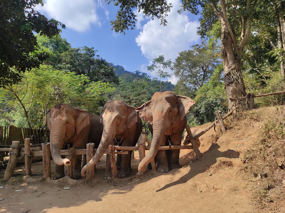 pm tours chiang mai