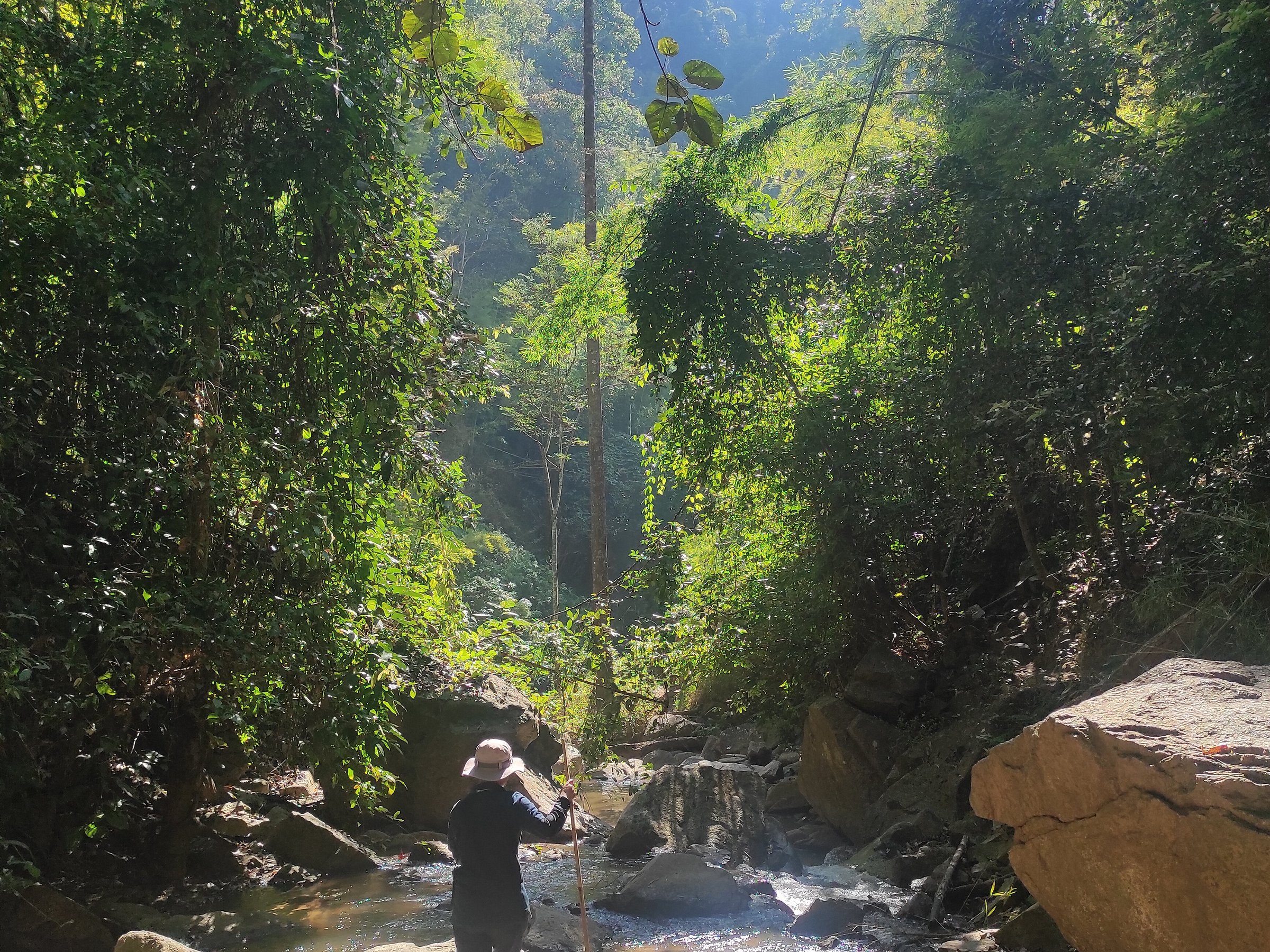 pm tours chiang mai