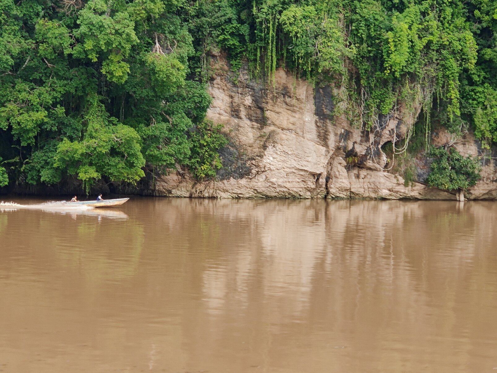 KINABATANGAN RIVER (Sabah) - All You Need To Know BEFORE You Go