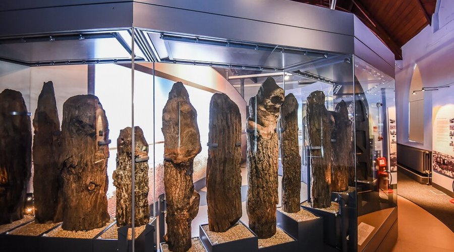 Lynn Museum - 킹스린 - Lynn Museum의 리뷰 - 트립어드바이저