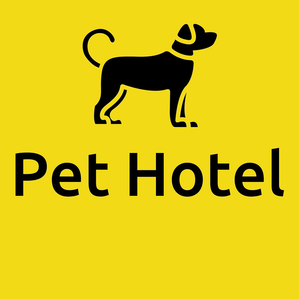 Pet Hotel, Nashville: лучшие советы перед посещением - Tripadvisor