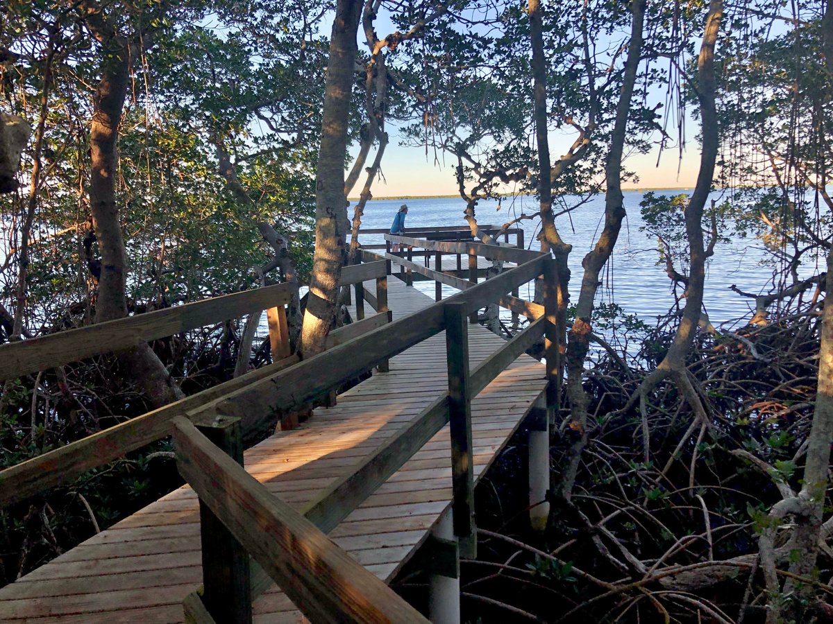 Escape To Tranquility: Discover The Hidden Gem Of Terra Ceia Preserve State Park