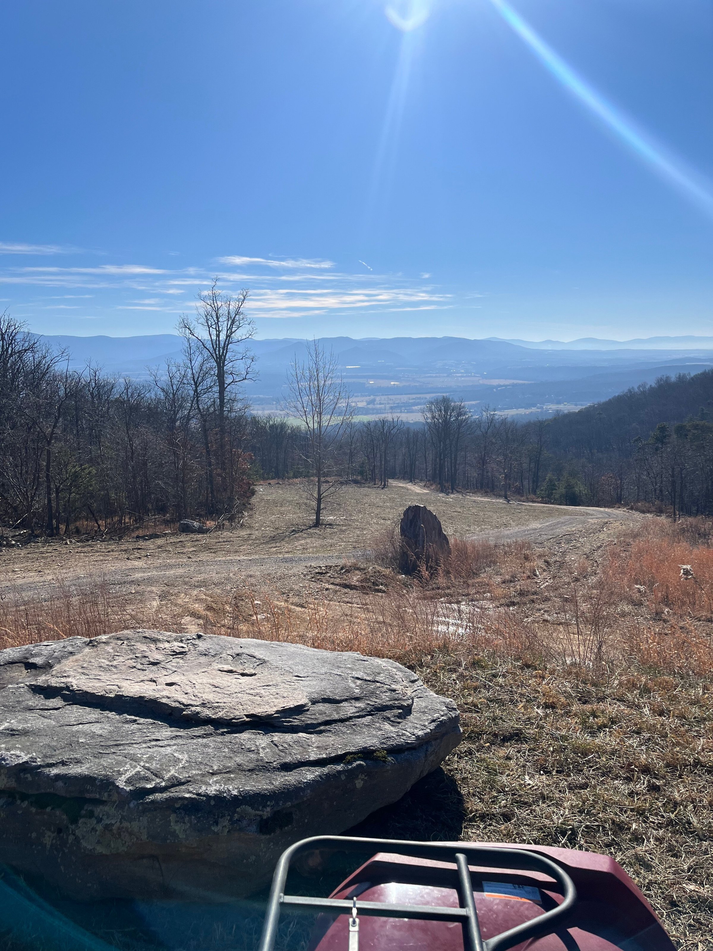 Escape to Paugnut State Forest: Your Gateway to Appalachian Adventure