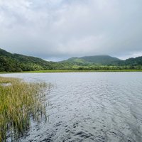 Grand Etang Lake (Grand Etang National Park) - All You Need to Know ...