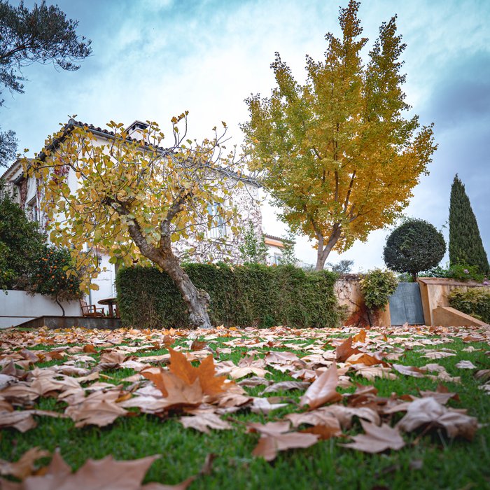 Imagen 13 de Hotel La Fuente De La Higuera