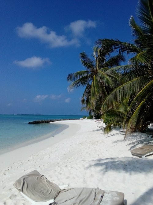 SUMMER ISLAND MALDIVES (Ziyaaraifushi Island) - Resort Reviews, Photos ...