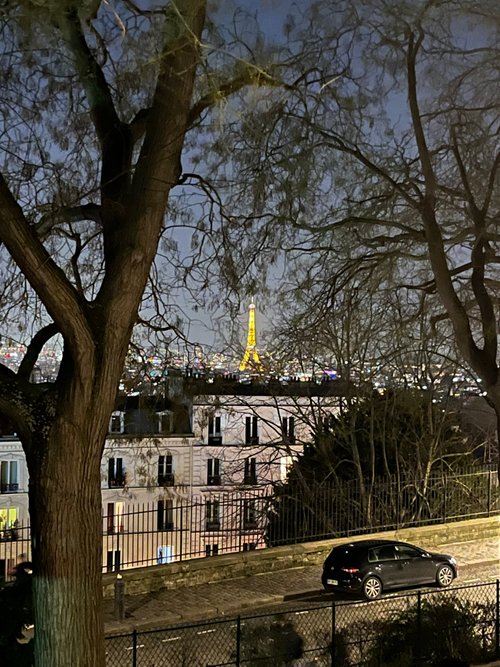 Paris review images