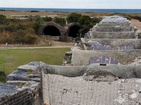 are dogs allowed in fort pickens