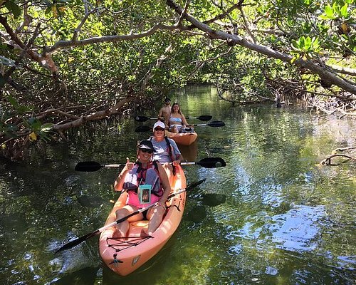The top 3 adventures in The Florida Keys & Key West