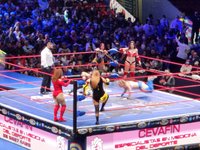 Tripadvisor, Lucha libre (luta livre mexicana) (tour privado) fornecido  pela Unlimited Experiences