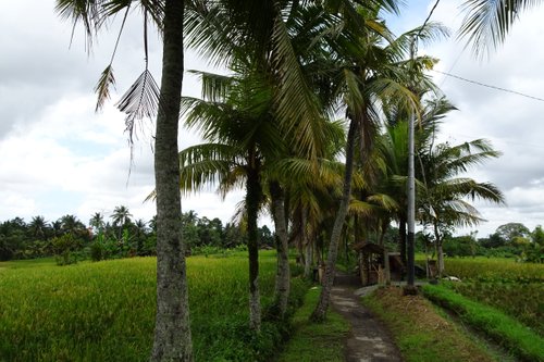 Gianyar Regency review images