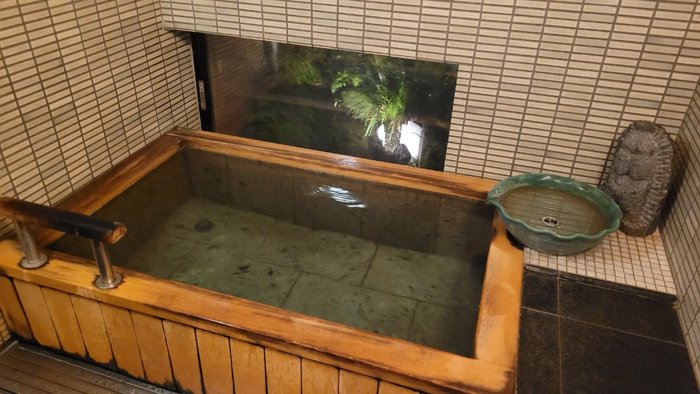 Imagen 2 de Ryokan Sawanoya