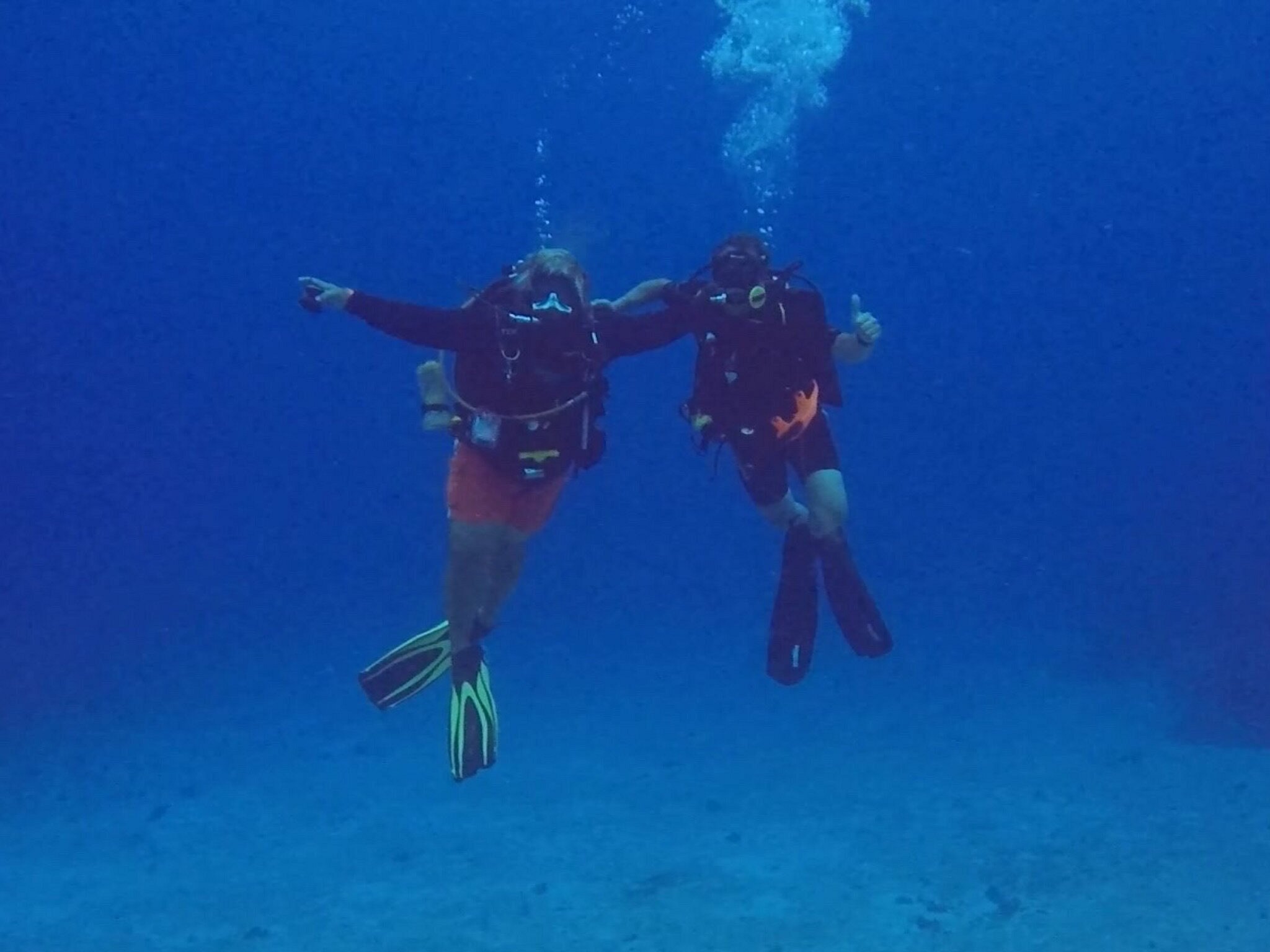 Jungle Divers San Miguel De Cozumel 2023 Lo Que Se Debe Saber Antes