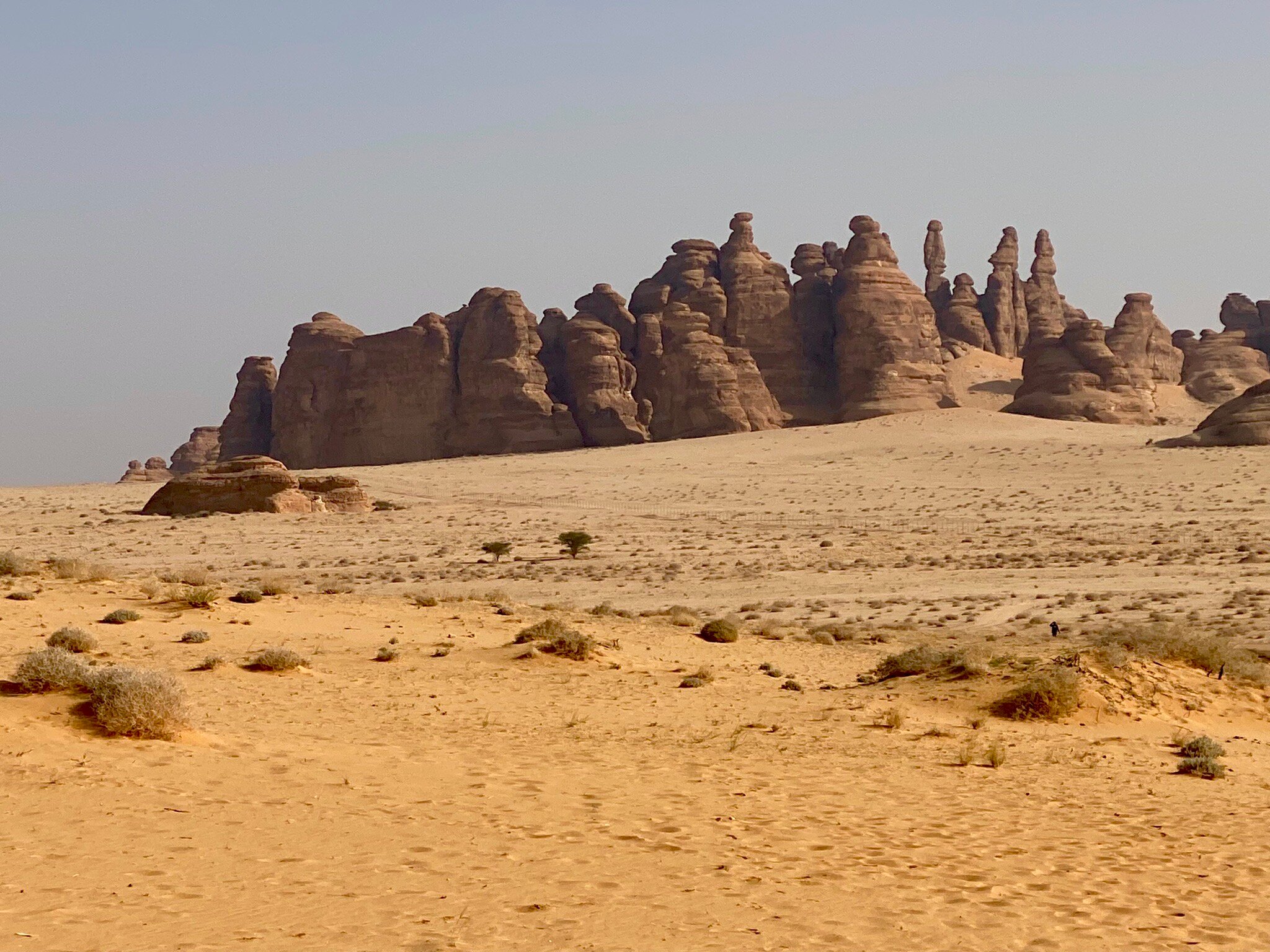 SHADEN RESORT (AlUla) - B&B Reviews, Photos, Rate Comparison - Tripadvisor