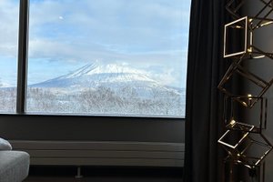 旅行者の写真